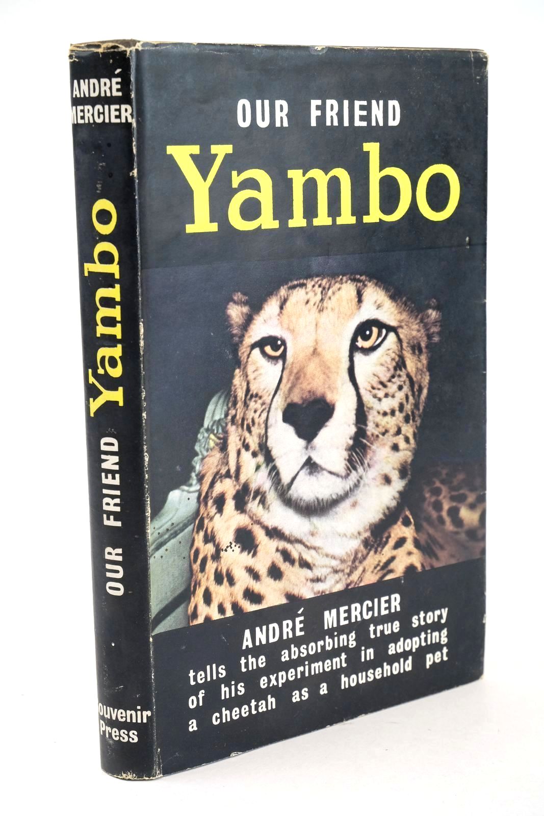 Photo of OUR FRIEND YAMBO written by Mercier, Andre published by Souvenir Press (STOCK CODE: 1325820)  for sale by Stella & Rose's Books