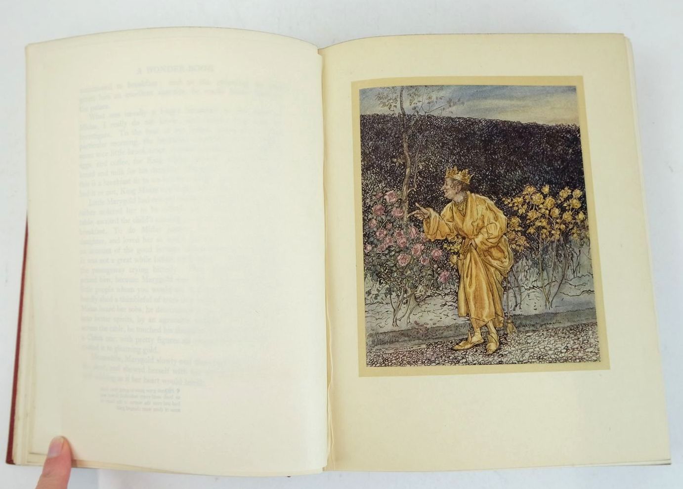 Photo of A WONDER BOOK written by Hawthorne, Nathaniel illustrated by Rackham, Arthur published by Hodder & Stoughton (STOCK CODE: 1325862)  for sale by Stella & Rose's Books