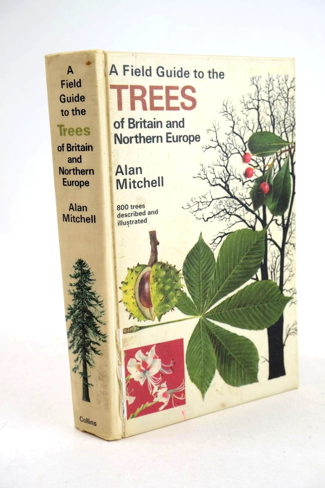 Photo of A FIELD GUIDE TO THE TREES OF BRITAIN AND NORTHERN EUROPE- Stock Number: 1326417