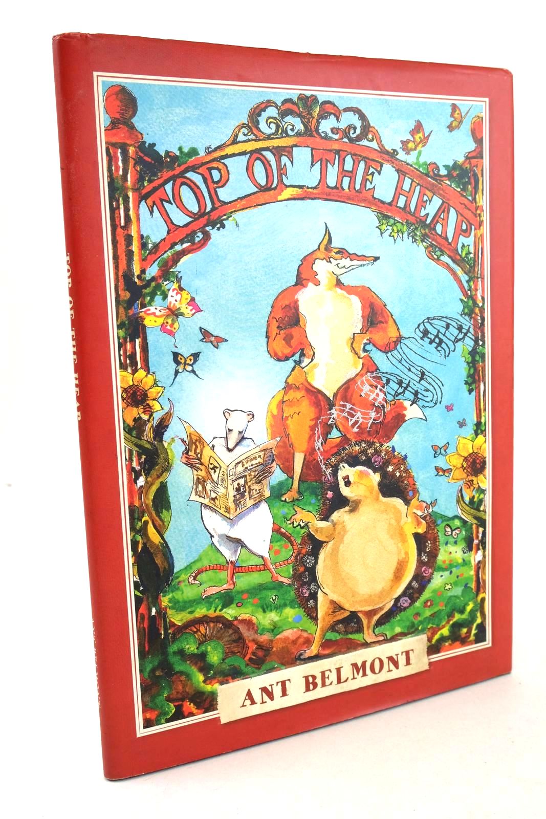 Photo of TOP OF THE HEAP written by Belmont, Ant illustrated by Belmont, Ant published by Ant Belmont (STOCK CODE: 1326471)  for sale by Stella & Rose's Books