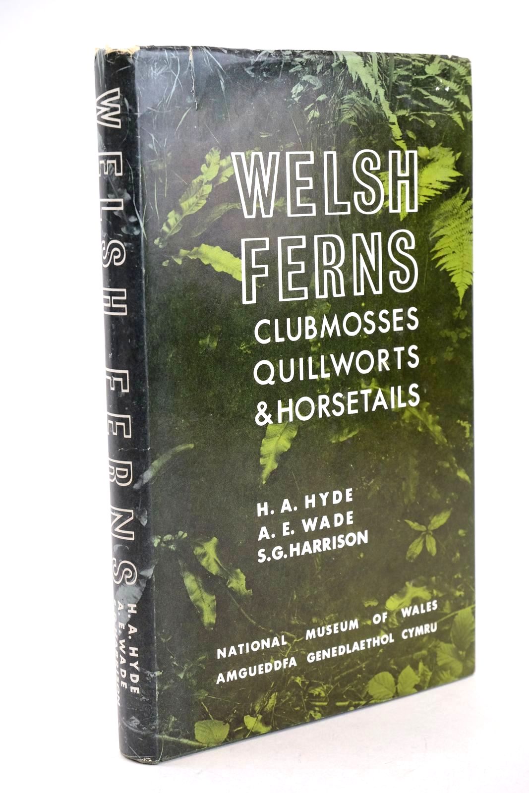 Photo of WELSH FERNS CLUBMOSSES QUILLWORTS & HORSETAILS- Stock Number: 1326537