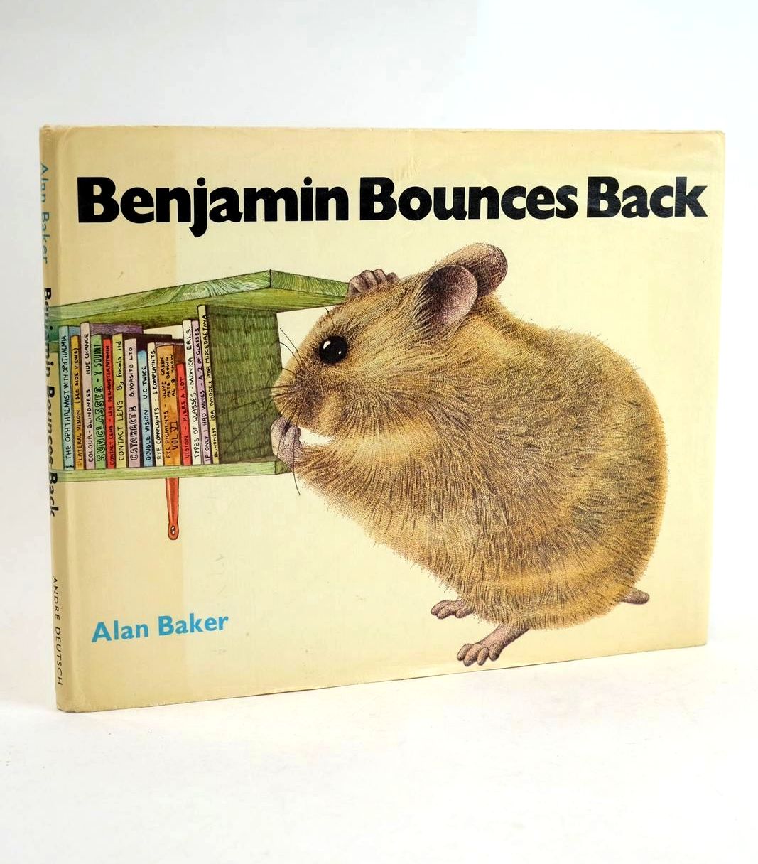 Photo of BENJAMIN BOUNCES BACK- Stock Number: 1329184