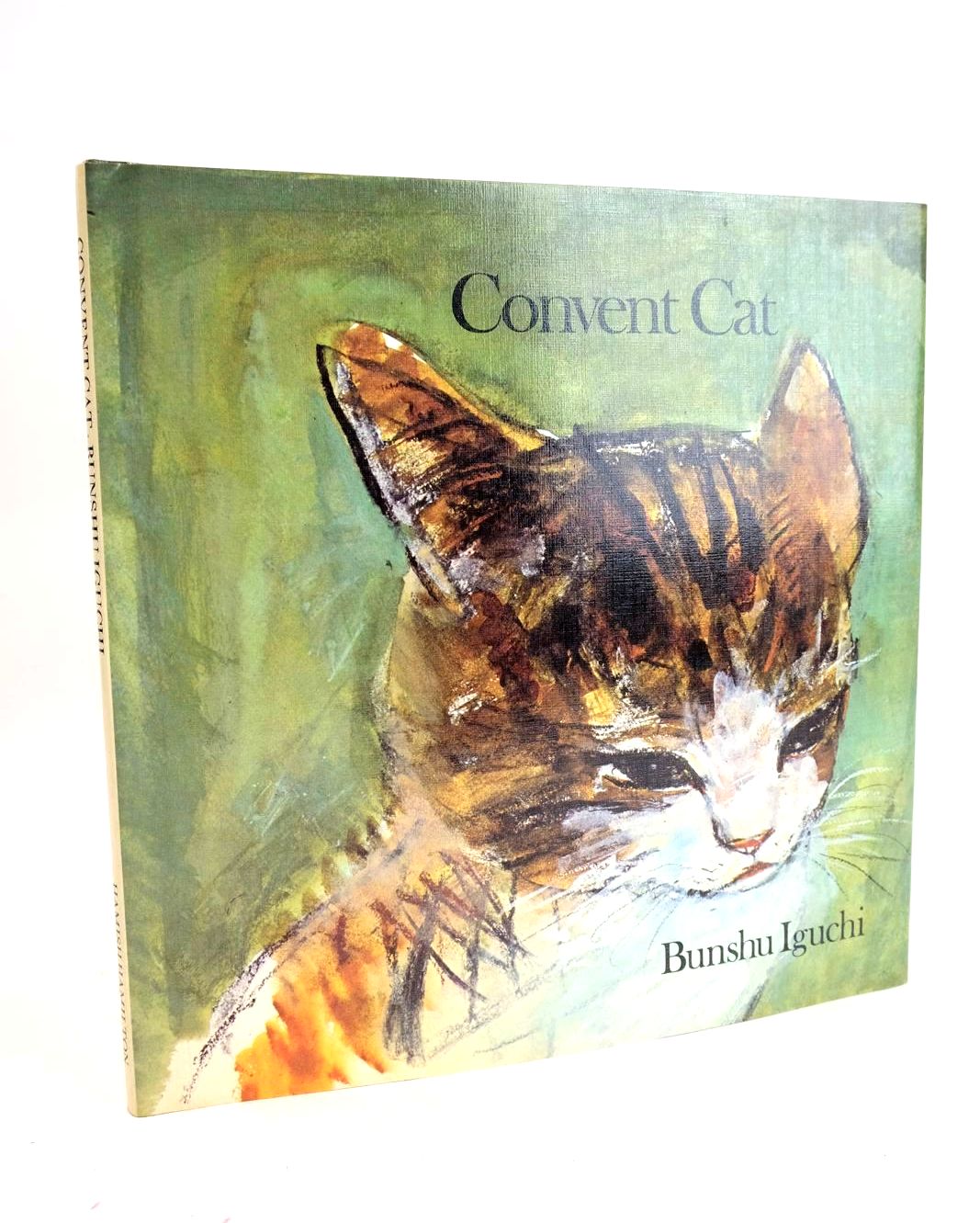 Photo of CONVENT CAT- Stock Number: 1330496