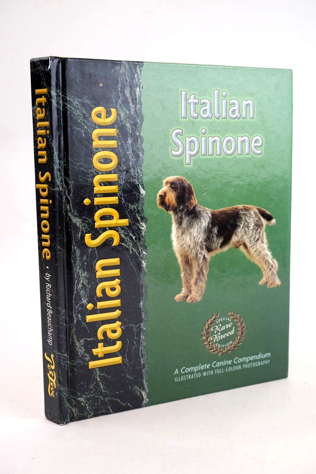 Photo of ITALIAN SPINONE- Stock Number: 1330518