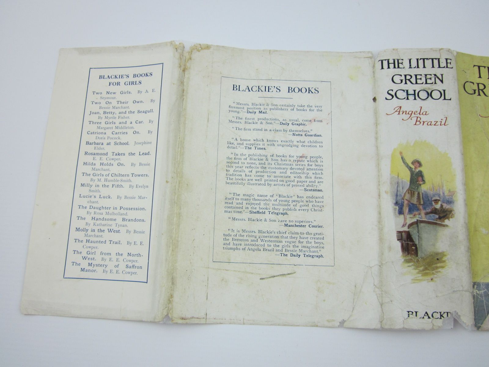 Stella & Rose's Books THE LITTLE GREEN SCHOOL Written By Angela