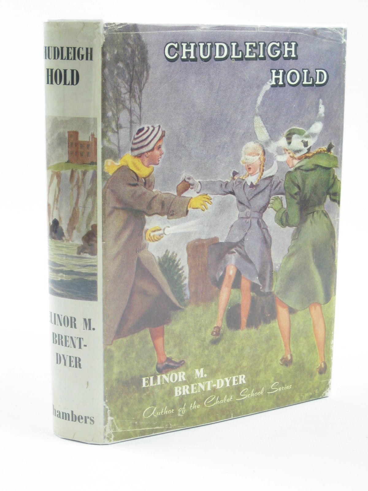 Photo of CHUDLEIGH HOLD- Stock Number: 1401758