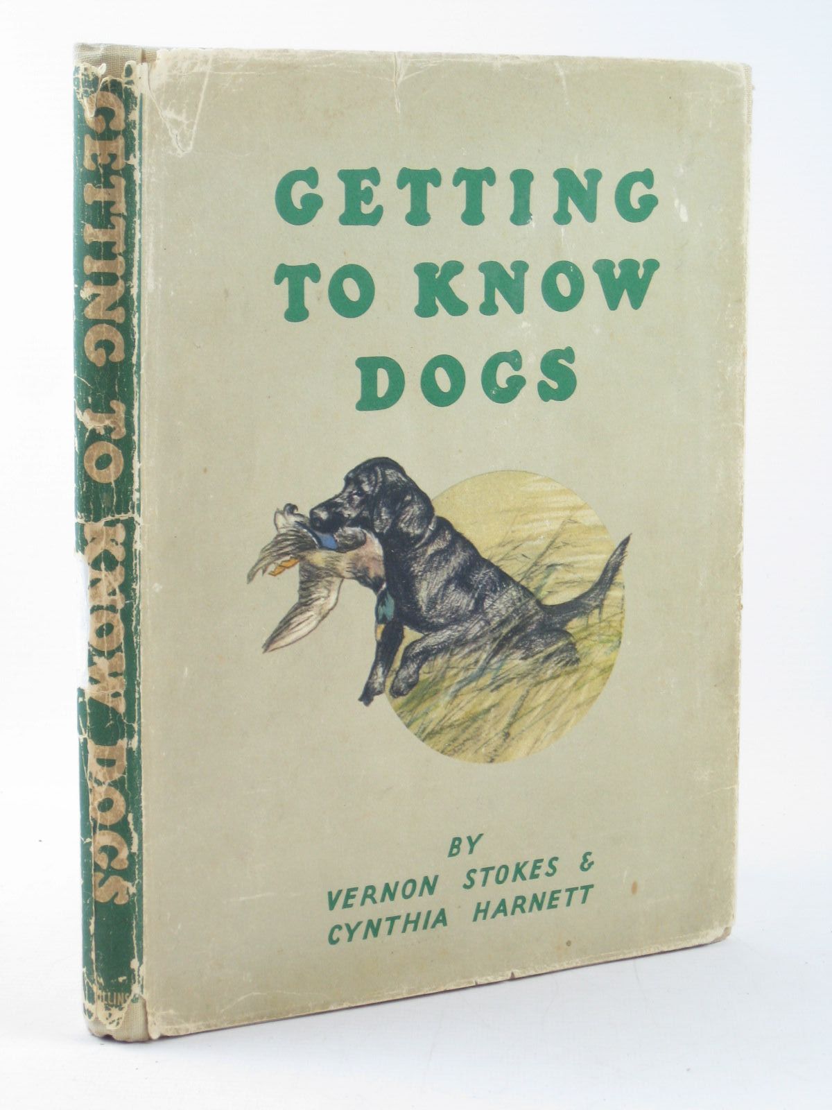 Photo of GETTING TO KNOW DOGS written by Harnett, Cynthia illustrated by Stokes, Vernon published by Collins (STOCK CODE: 1402327)  for sale by Stella & Rose's Books