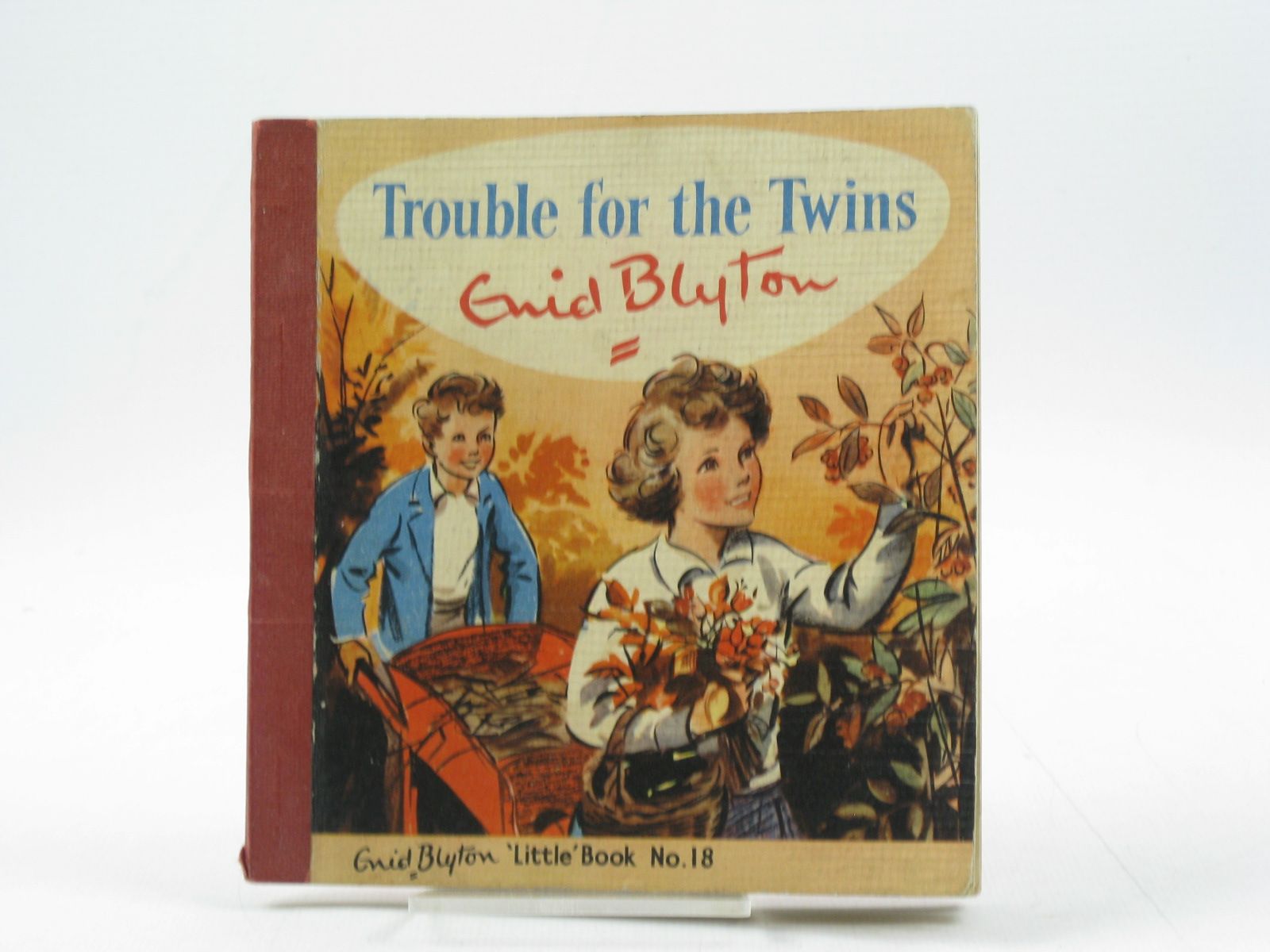 Photo of TROUBLE FOR THE TWINS written by Blyton, Enid illustrated by Soper, Eileen published by The Brockhampton Press Ltd. (STOCK CODE: 1403078)  for sale by Stella & Rose's Books