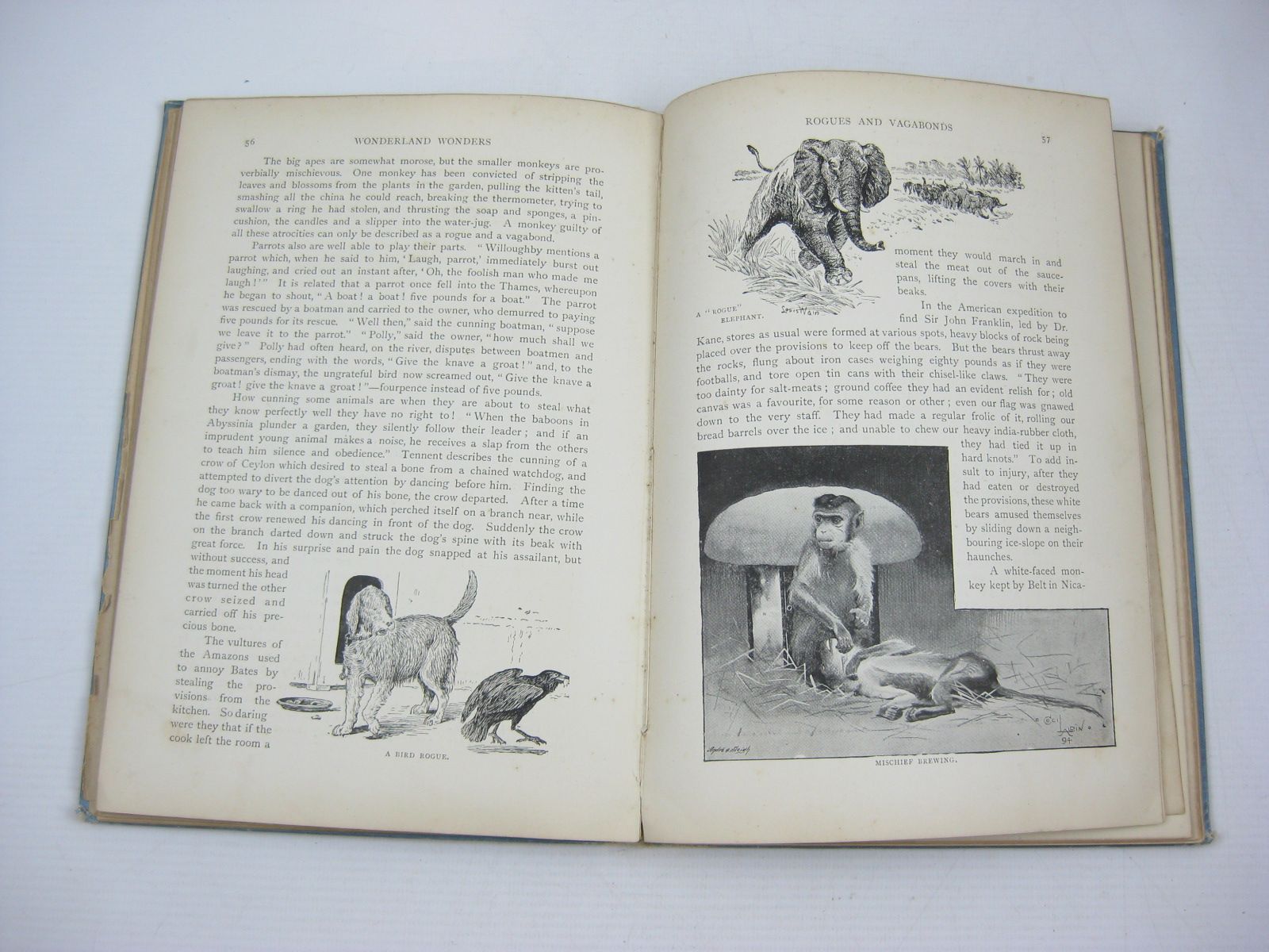 Photo of WONDERLAND WONDERS written by Isabell, Rev. John illustrated by Aldin, Cecil
Wain, Louis
et al., published by Home Words Office (STOCK CODE: 1404028)  for sale by Stella & Rose's Books