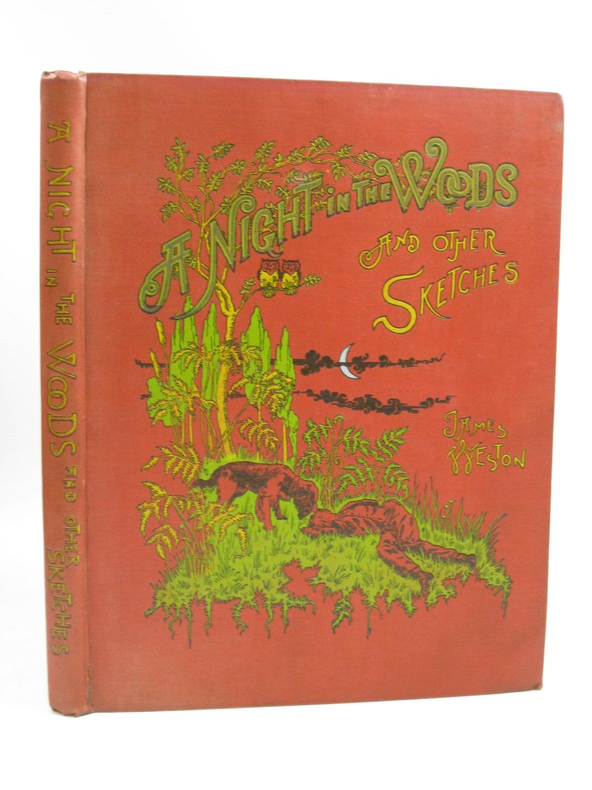 Photo of A NIGHT IN THE WOODS AND OTHER TALES AND SKETCHES- Stock Number: 1404835