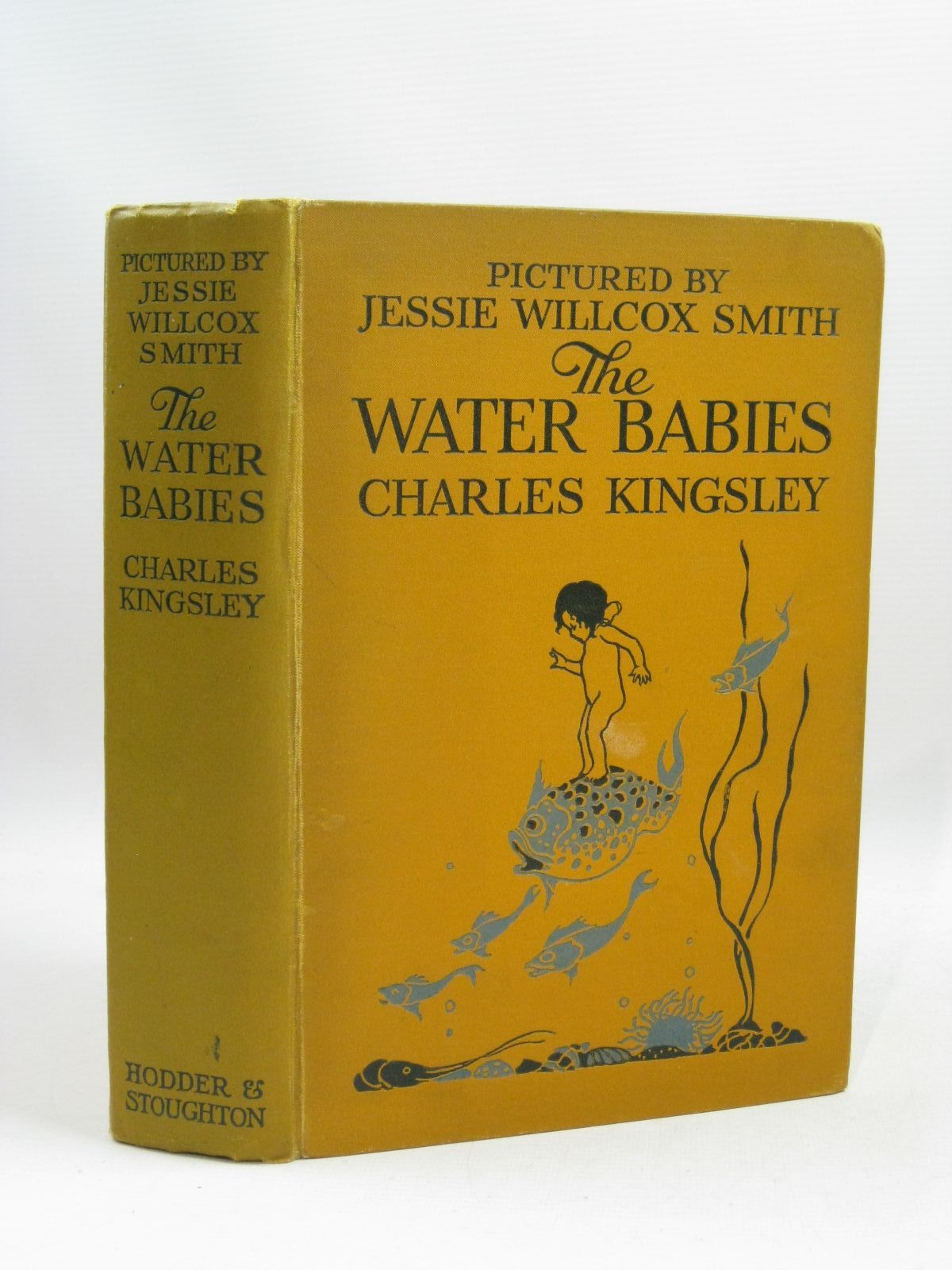 Photo of THE WATER BABIES written by Kingsley, Charles illustrated by Smith, Jessie Willcox published by Hodder &amp; Stoughton (STOCK CODE: 1405010)  for sale by Stella & Rose's Books