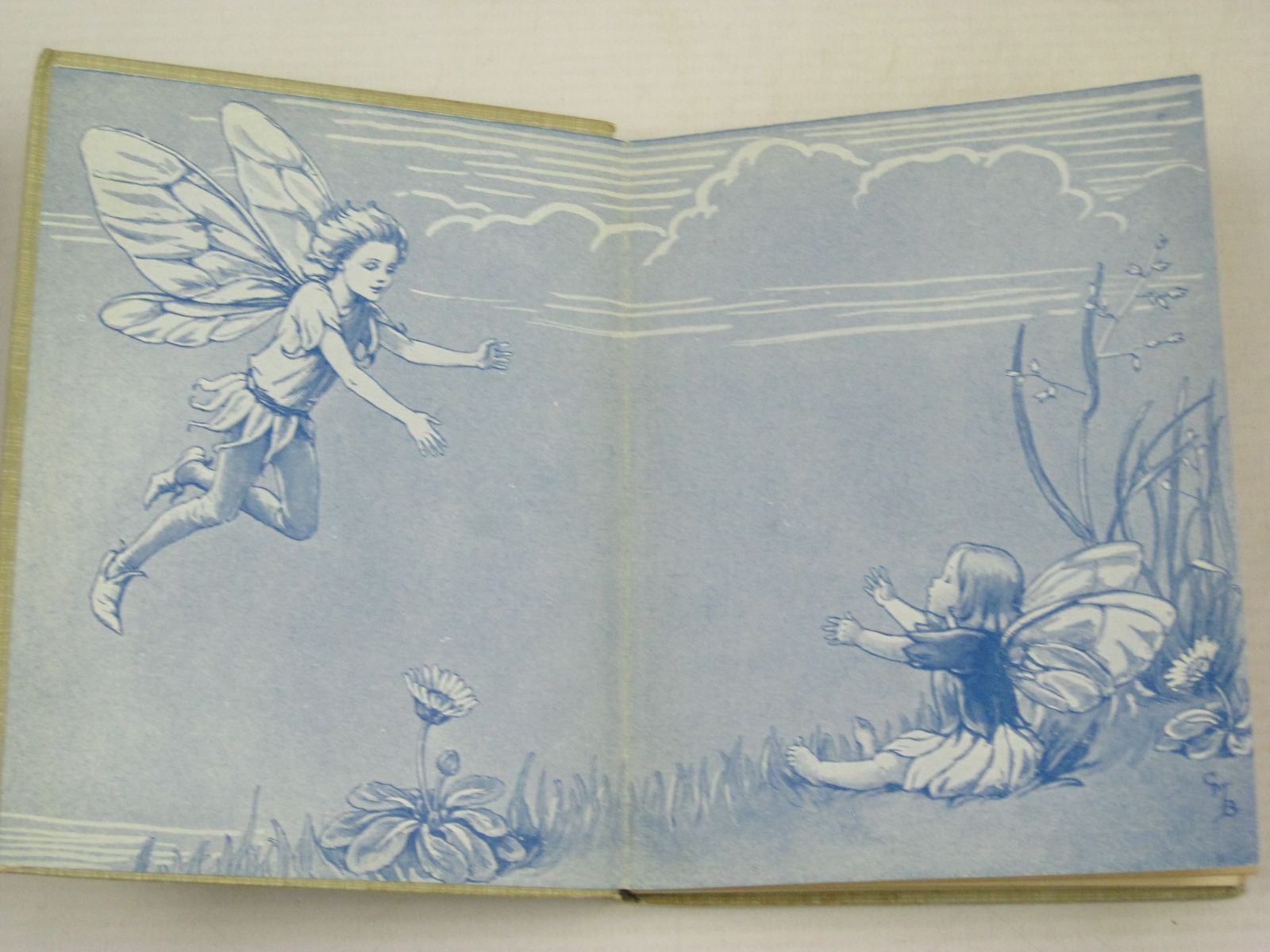 Photo of FAIRIES OF THE TREES written by Barker, Cicely Mary illustrated by Barker, Cicely Mary published by Blackie & Son Ltd. (STOCK CODE: 1405768)  for sale by Stella & Rose's Books