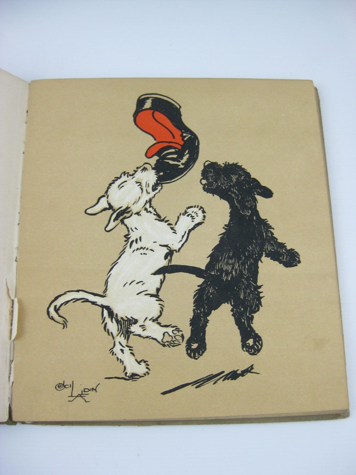 Stella & Rose's Books