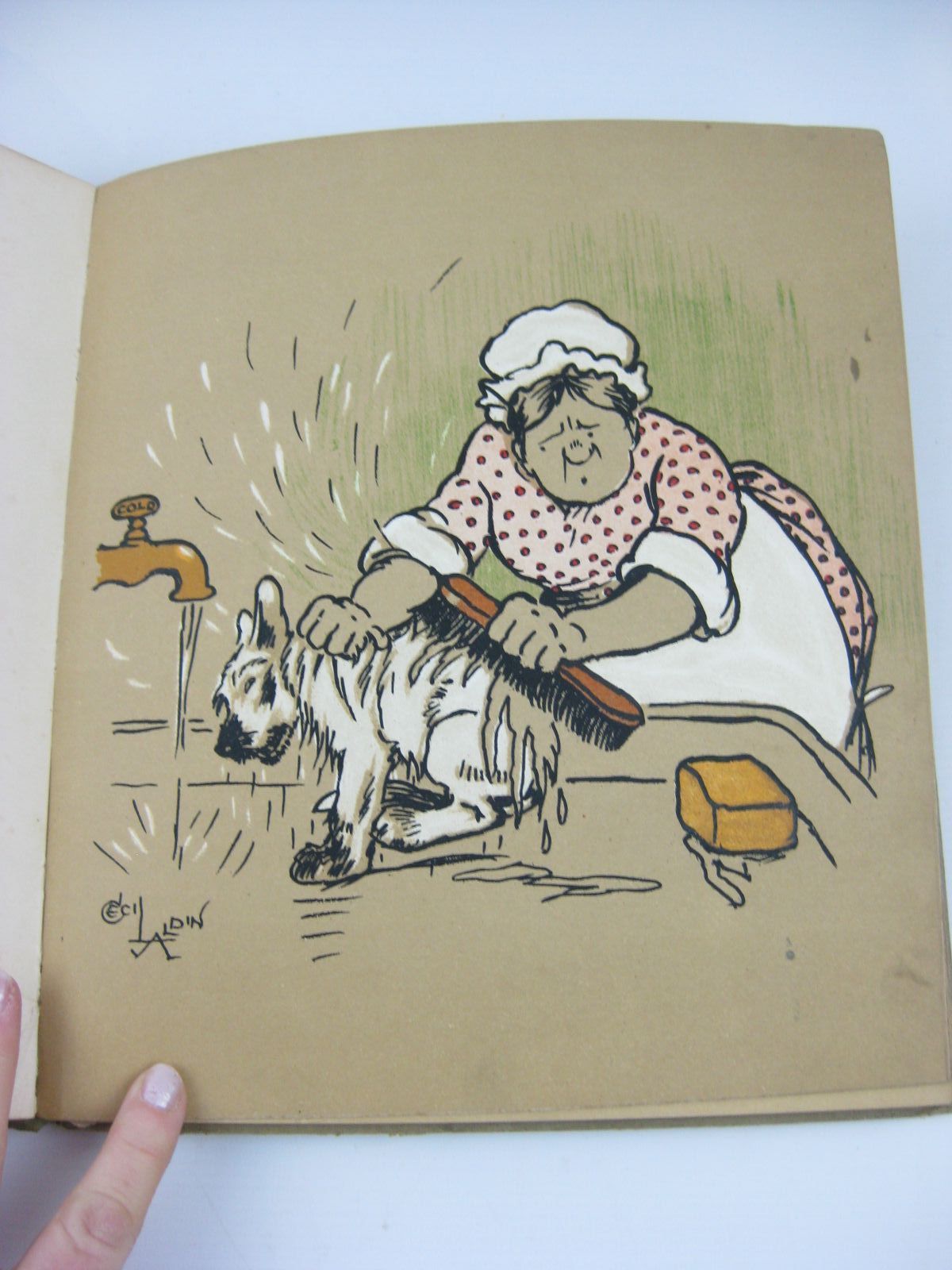 Stella & Rose's Books