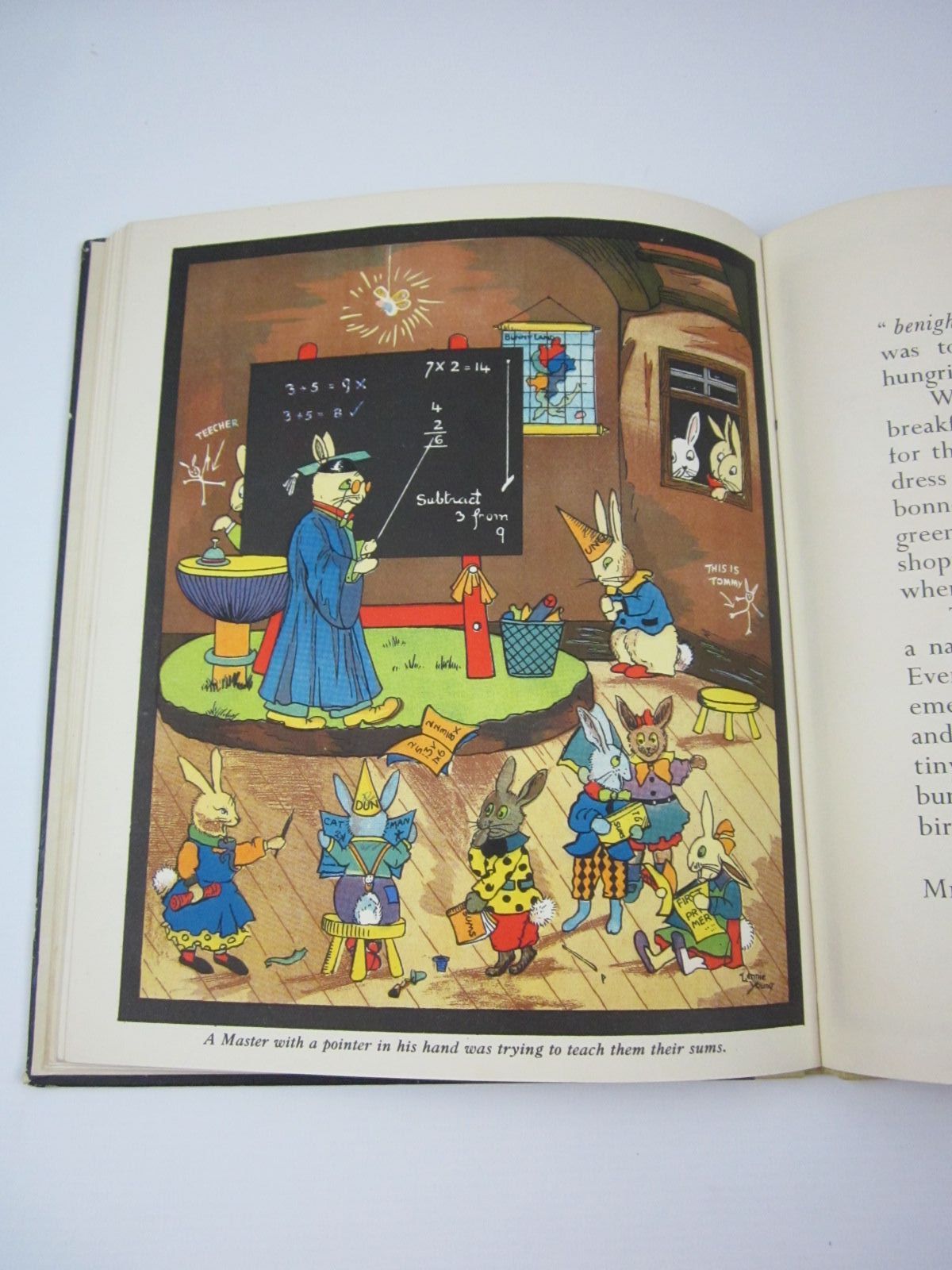 Photo of THE ADVENTURES OF PETER AND JUDY IN BUNNYLAND written by Uttley, Alison illustrated by Young, Lennie published by Collins (STOCK CODE: 1501331)  for sale by Stella & Rose's Books