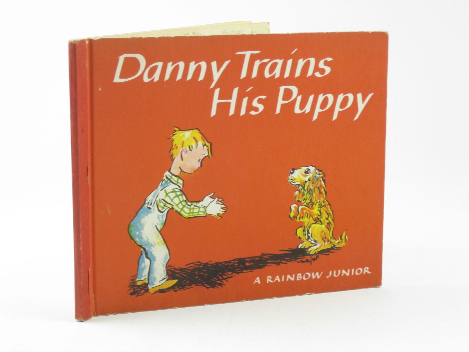 Photo of DANNY TRAINS HIS PUPPY- Stock Number: 1502161
