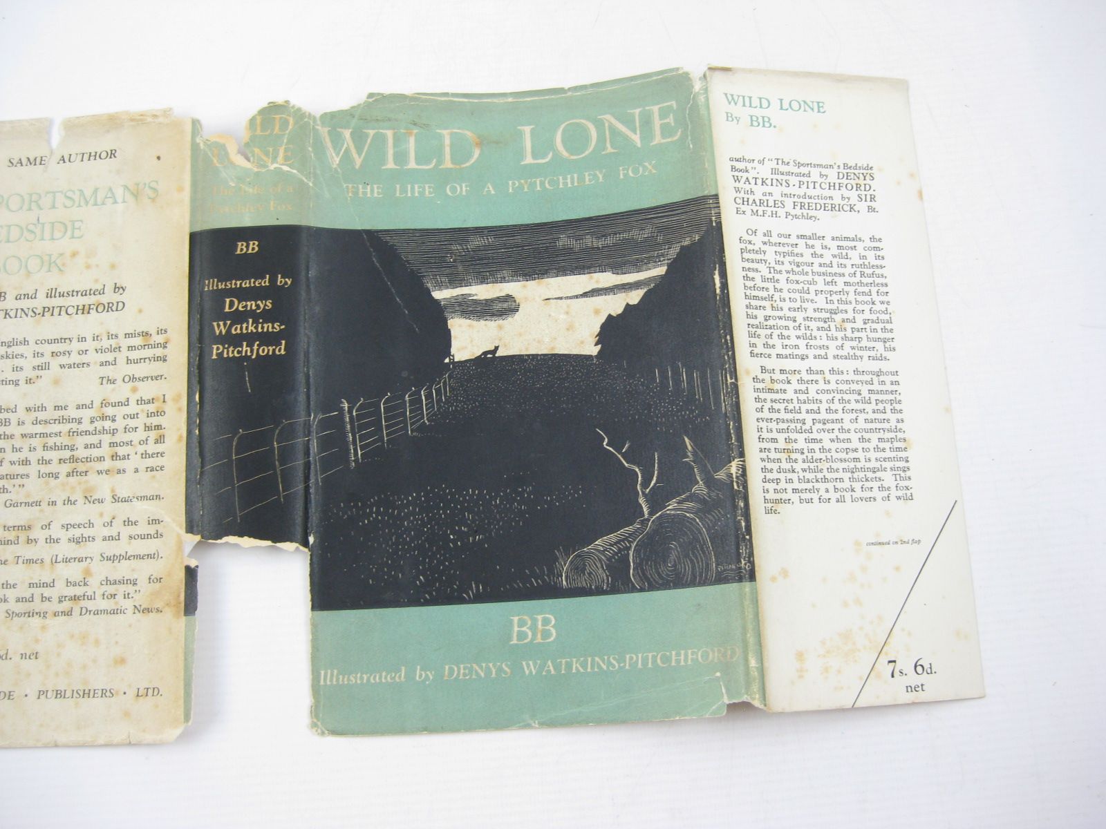 Photo of WILD LONE written by BB,  illustrated by BB,  published by Eyre & Spottiswoode (STOCK CODE: 1503113)  for sale by Stella & Rose's Books