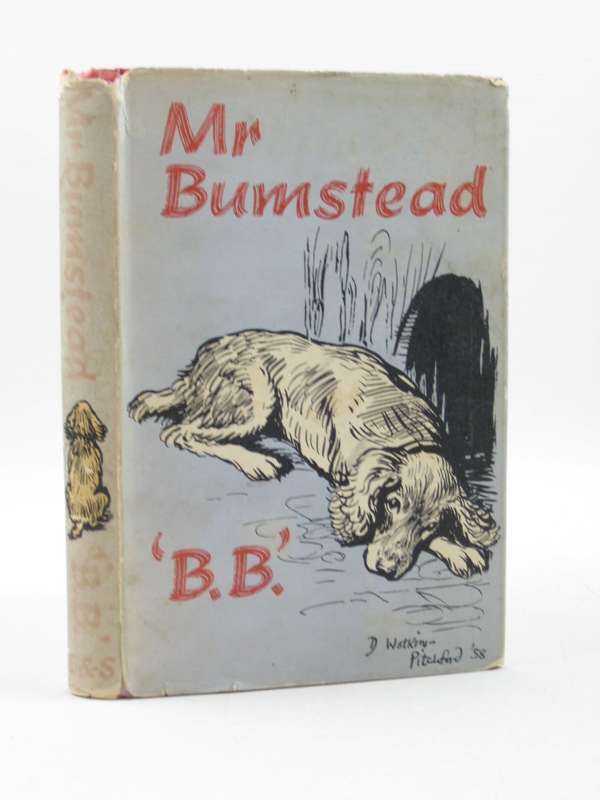 Photo of MR BUMSTEAD- Stock Number: 1503114