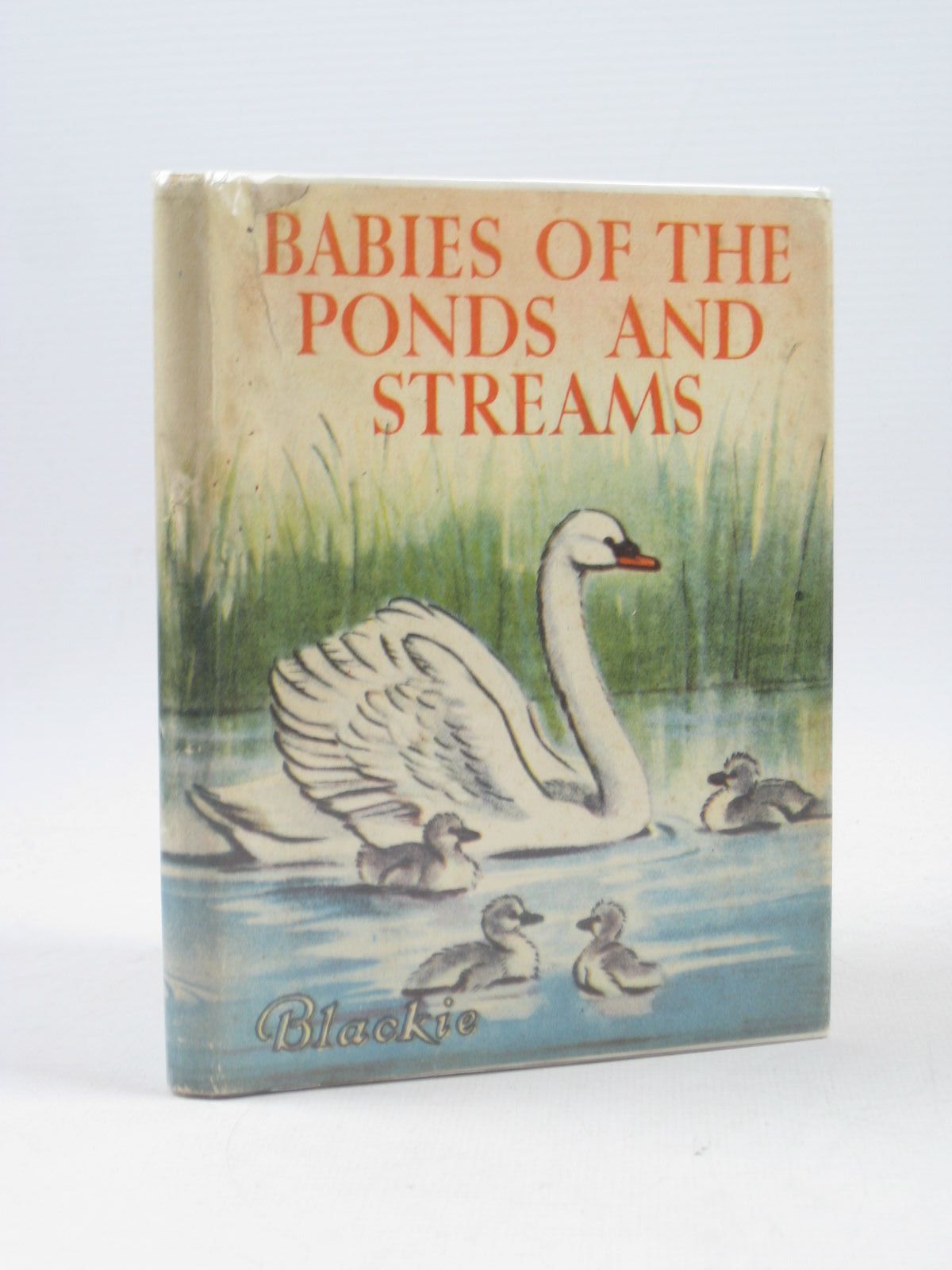 Photo of BABIES OF THE PONDS AND STREAMS- Stock Number: 1503563
