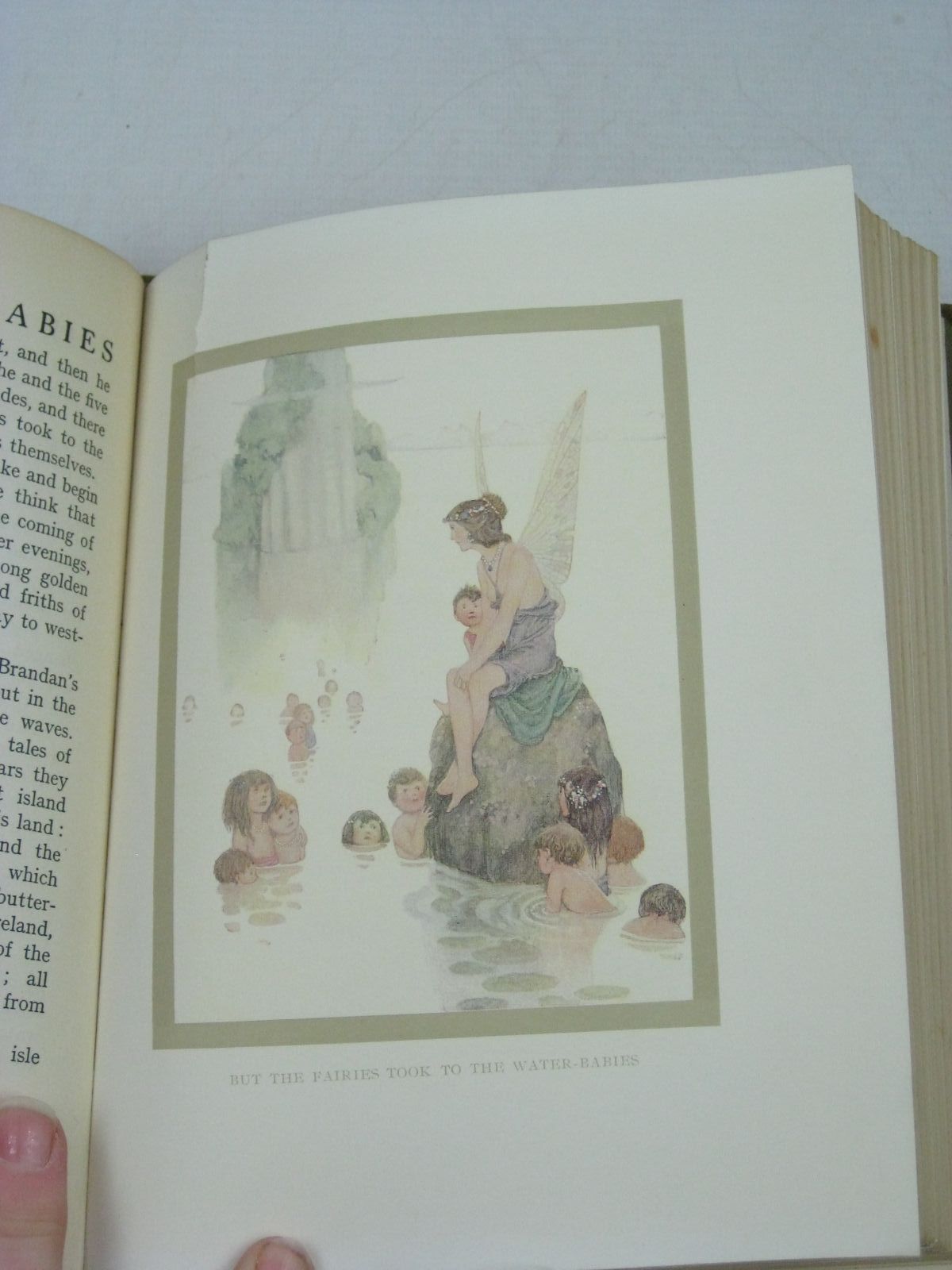 Photo of THE WATER-BABIES written by Kingsley, Charles illustrated by Robinson, W. Heath published by Constable & Co. Ltd. (STOCK CODE: 1504580)  for sale by Stella & Rose's Books