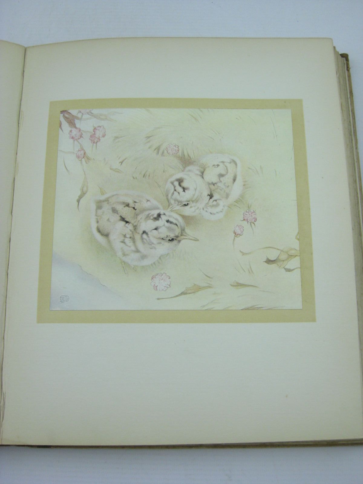 Photo of THE BOOK OF BABY BIRDS written by Dugdale, Florence E. illustrated by Detmold, Edward J. published by Henry Frowde, Hodder & Stoughton (STOCK CODE: 1507451)  for sale by Stella & Rose's Books