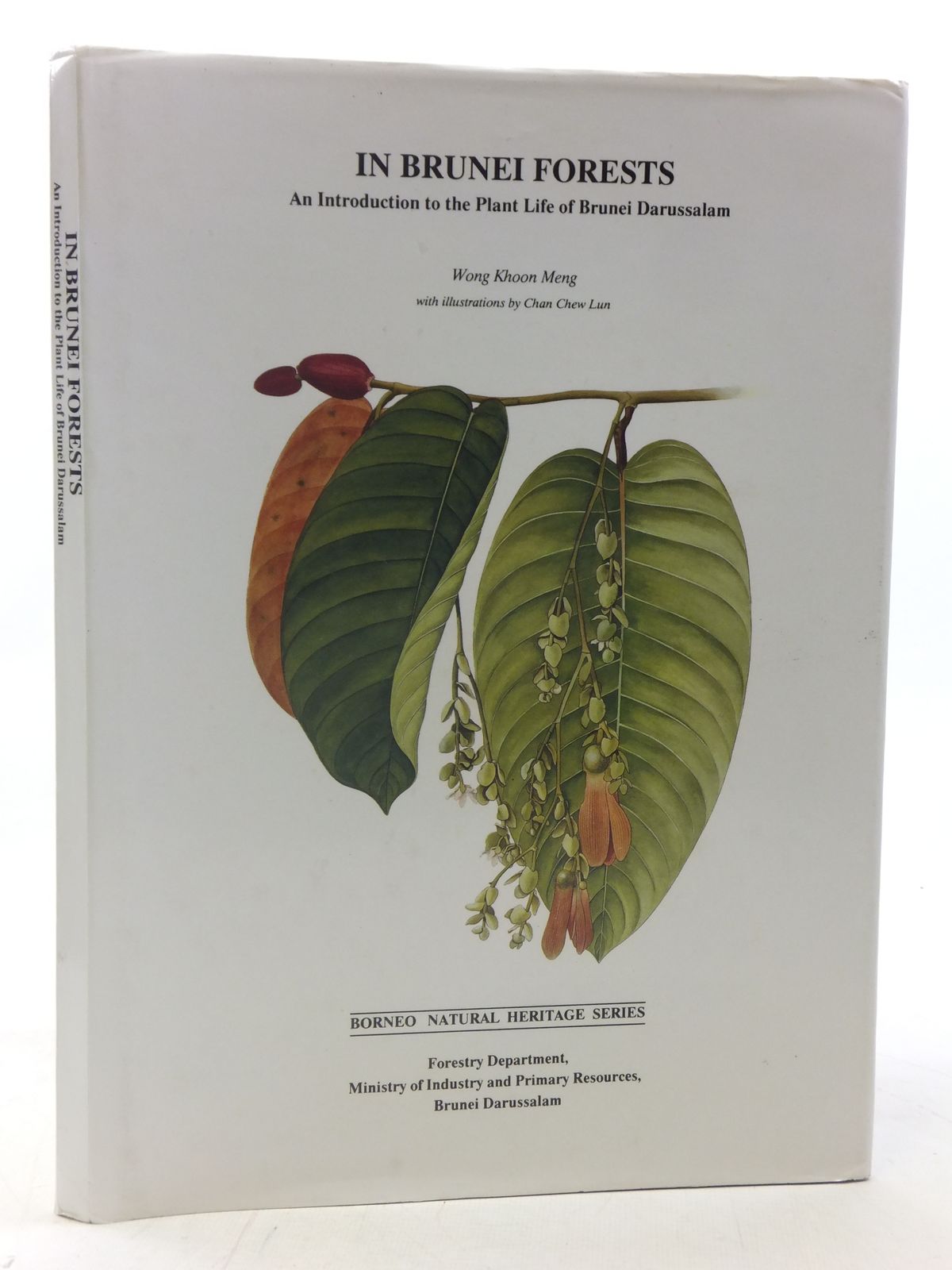 Photo of IN BRUNEI FORESTS written by Meng, Wong Khoon illustrated by Lun, Chan Chew published by Ministry Of Industry And Primary Resources Brunei (STOCK CODE: 1605952)  for sale by Stella & Rose's Books