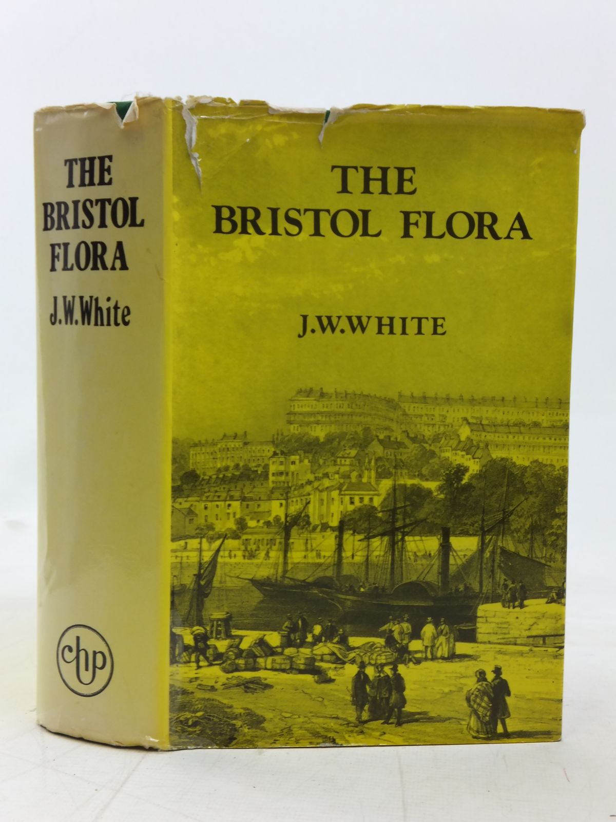 Photo of THE FLORA OF BRISTOL written by White, James Walter published by Chatford House Press Ltd. (STOCK CODE: 1606462)  for sale by Stella & Rose's Books