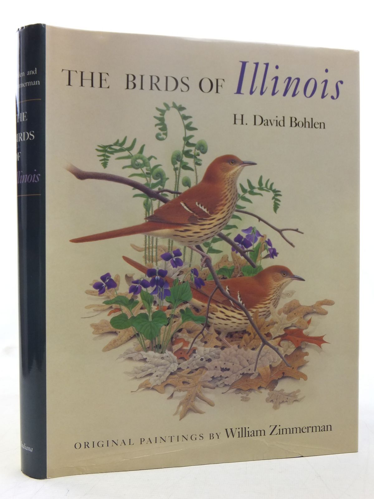 Photo of THE BIRDS OF ILLINOIS written by Bohlen, H. David illustrated by Zimmerman, William published by Indiana University Press (STOCK CODE: 1607486)  for sale by Stella & Rose's Books