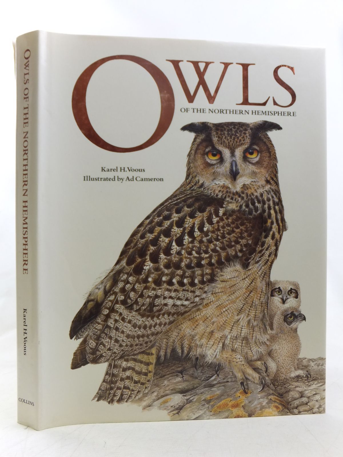 Stella & Rose's Books