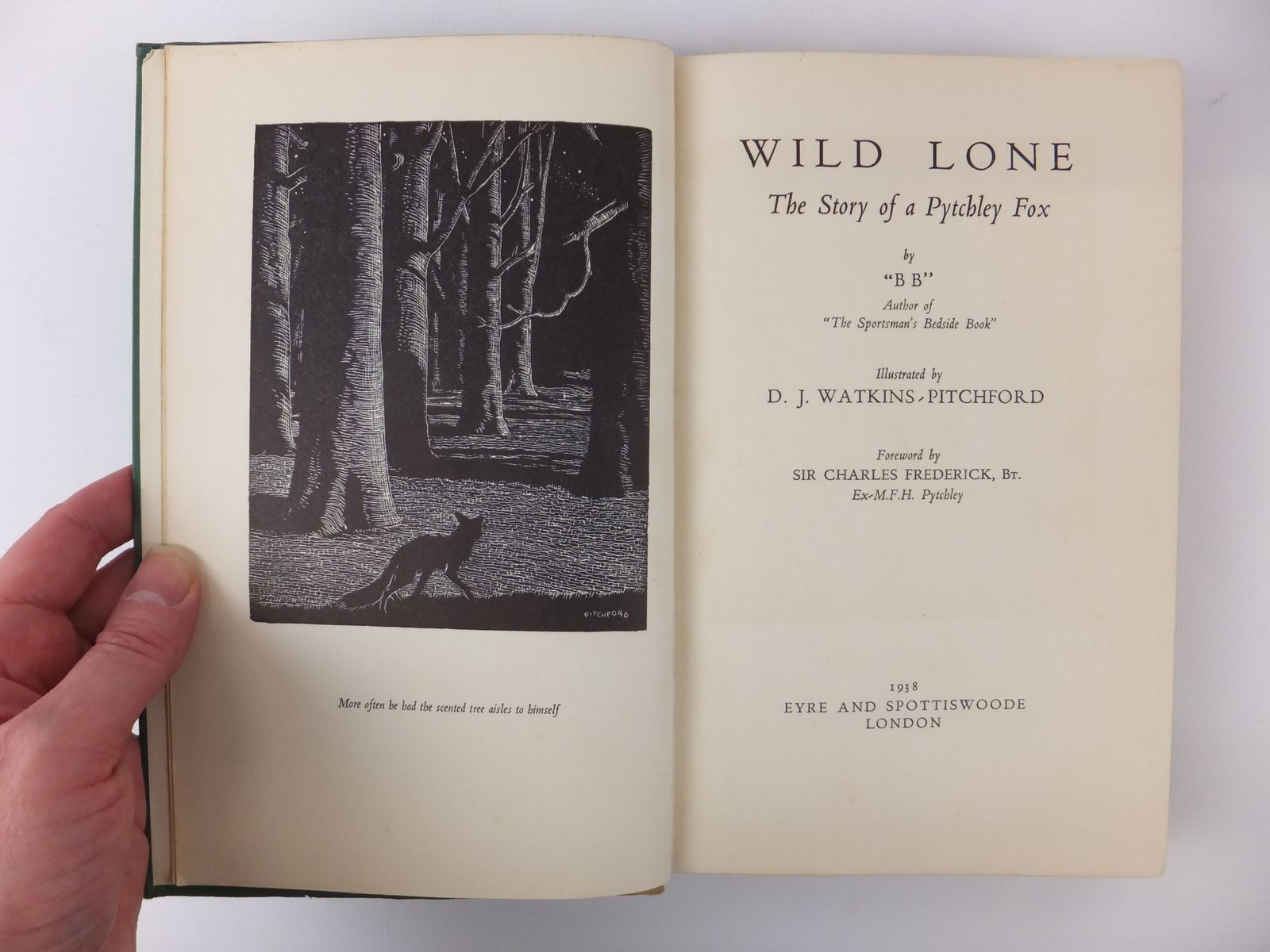 Stella & Rose's Books : WILD LONE Written By BB, STOCK CODE: 1608852