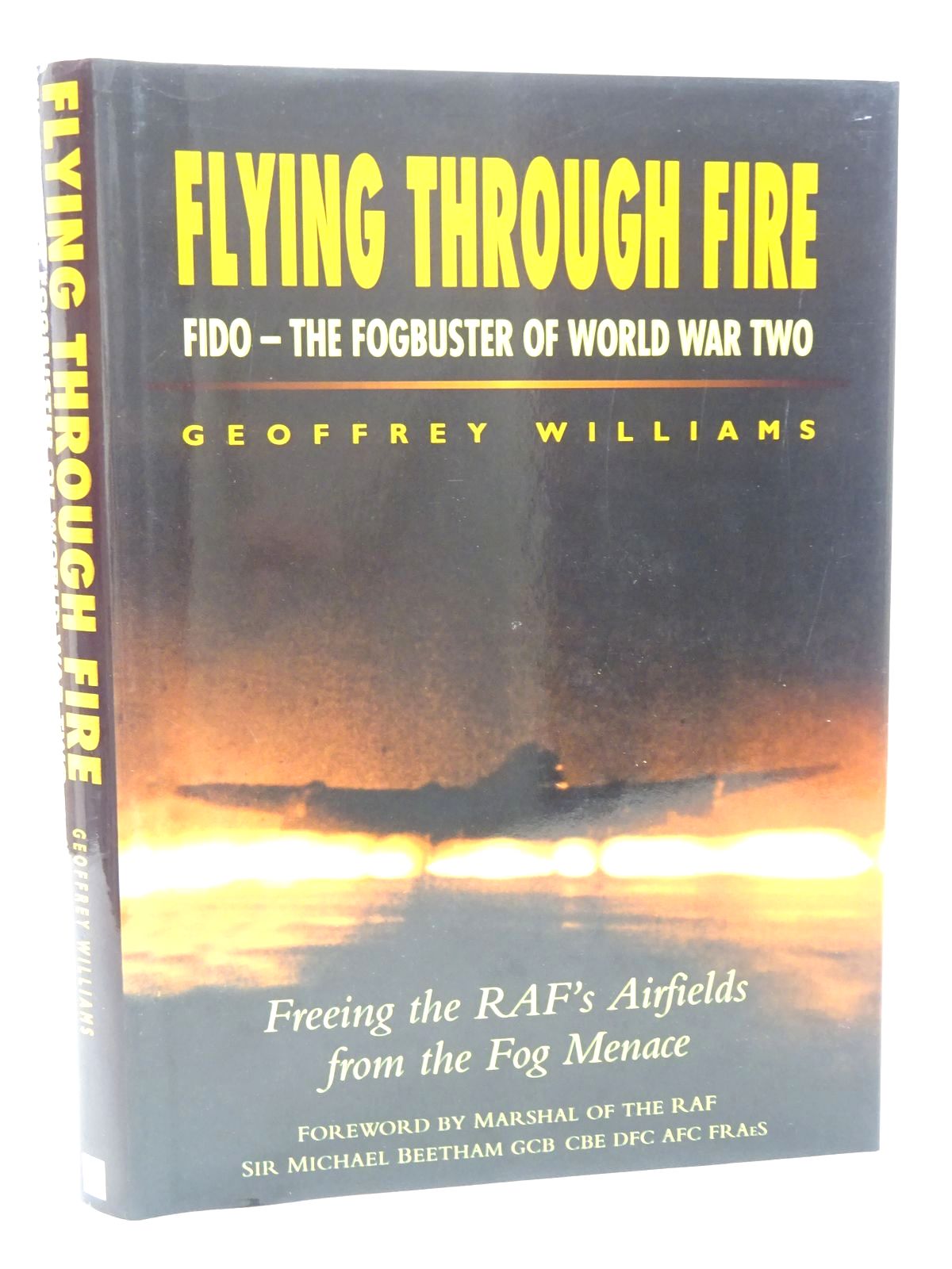 Photo of FLYING THROUGH FIRE- Stock Number: 1610211