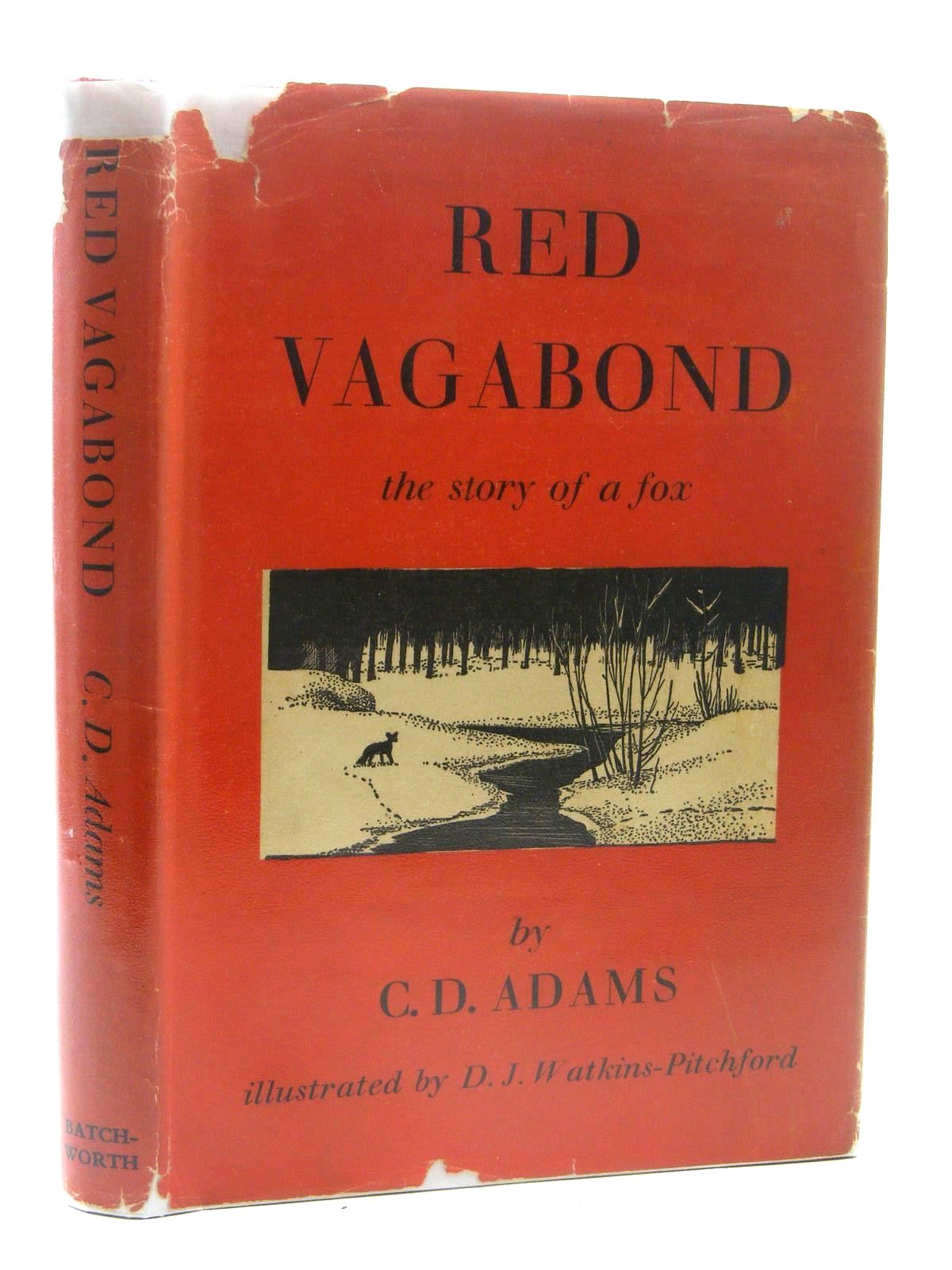 Red Vagabond