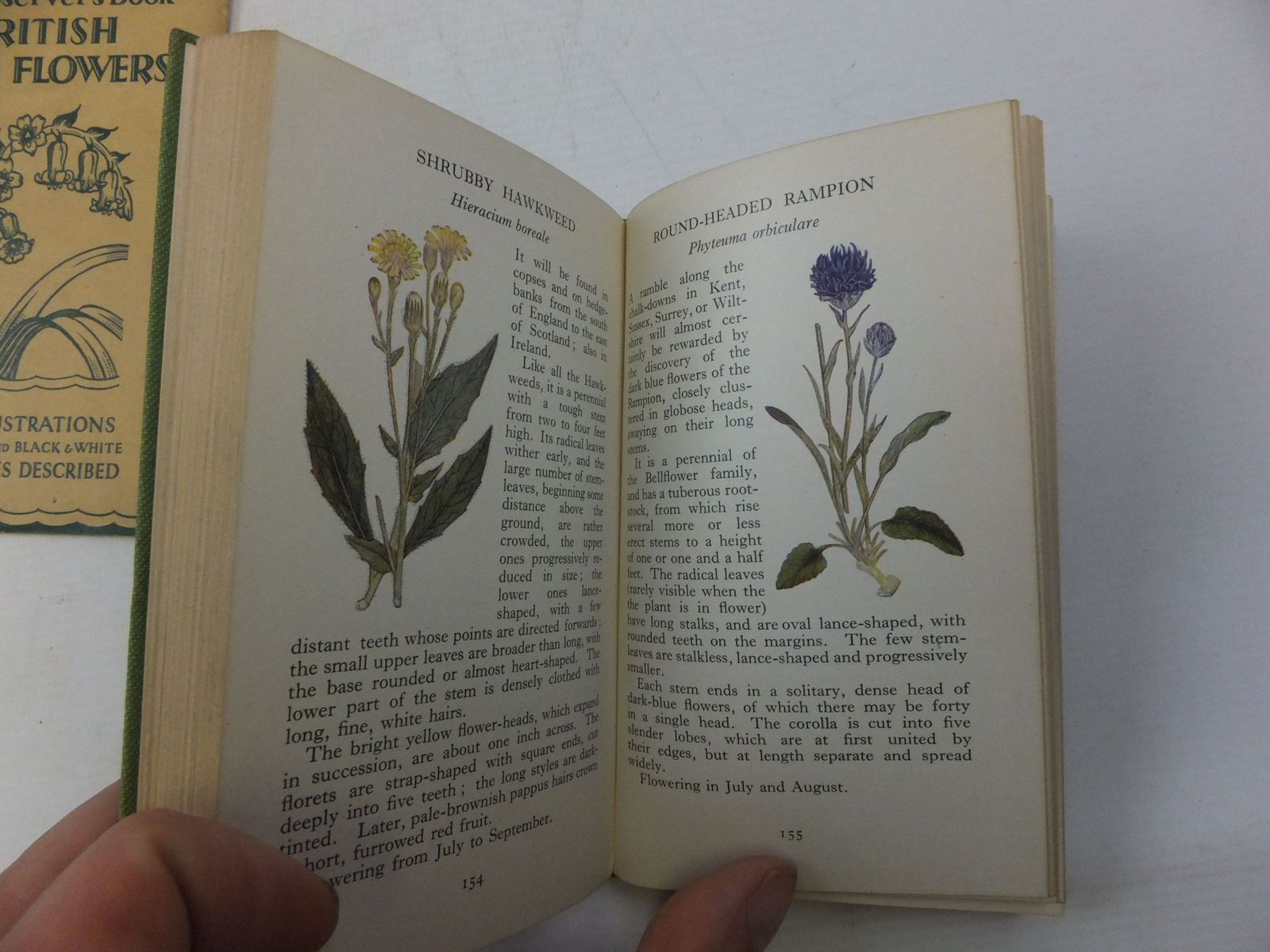 Stella & Rose's Books THE OBSERVER'S BOOK OF BRITISH WILD FLOWERS