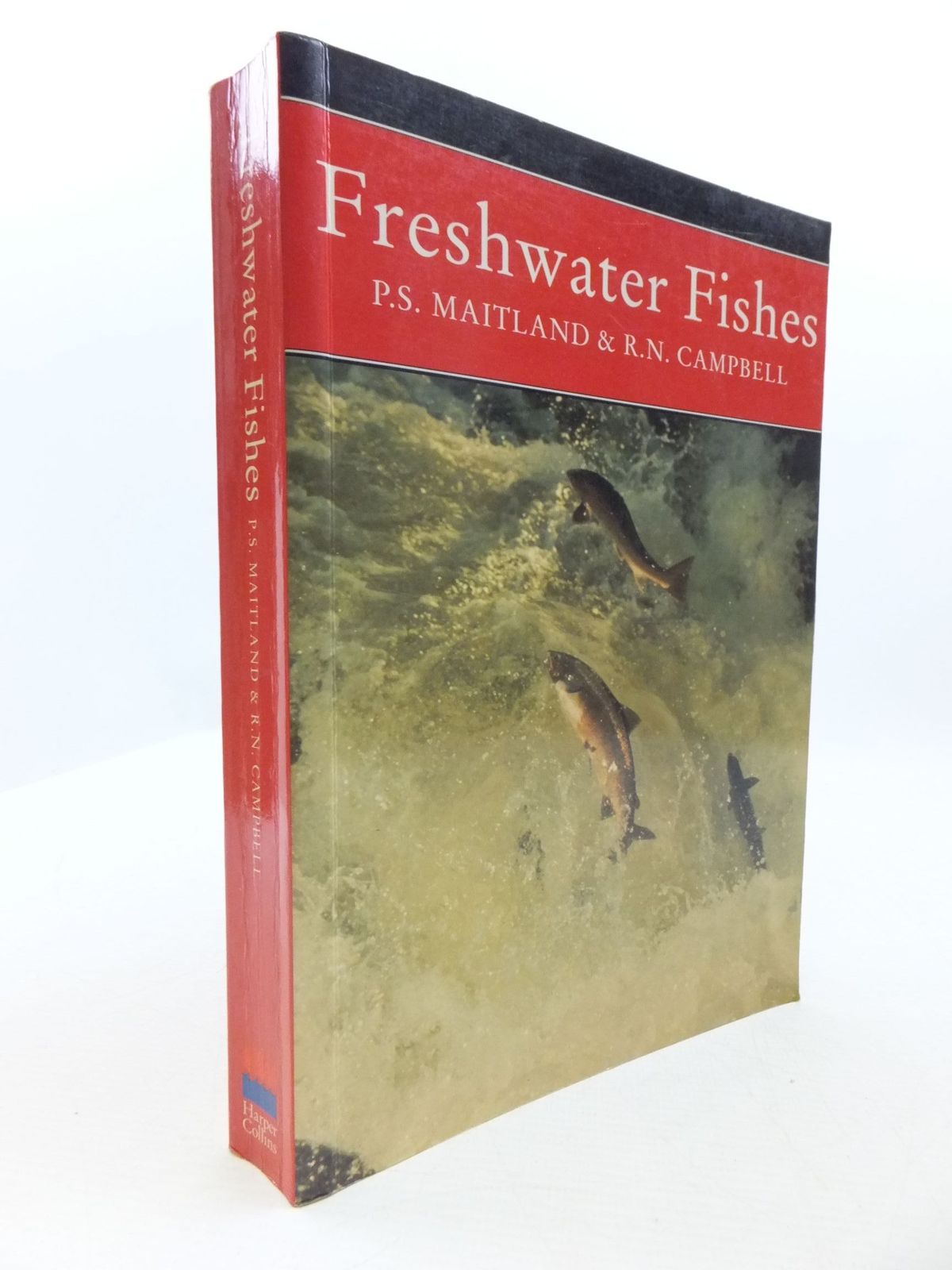 Photo of FRESHWATER FISHES OF THE BRITISH ISLES (NN 75) written by Maitland, Peter S. Campbell, R. Niall published by Harper Collins (STOCK CODE: 1708162)  for sale by Stella & Rose's Books