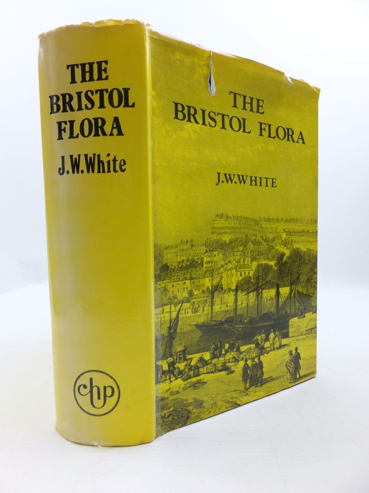 Photo of THE FLORA OF BRISTOL written by White, James Walter published by Chatford House Press Ltd. (STOCK CODE: 1708168)  for sale by Stella & Rose's Books