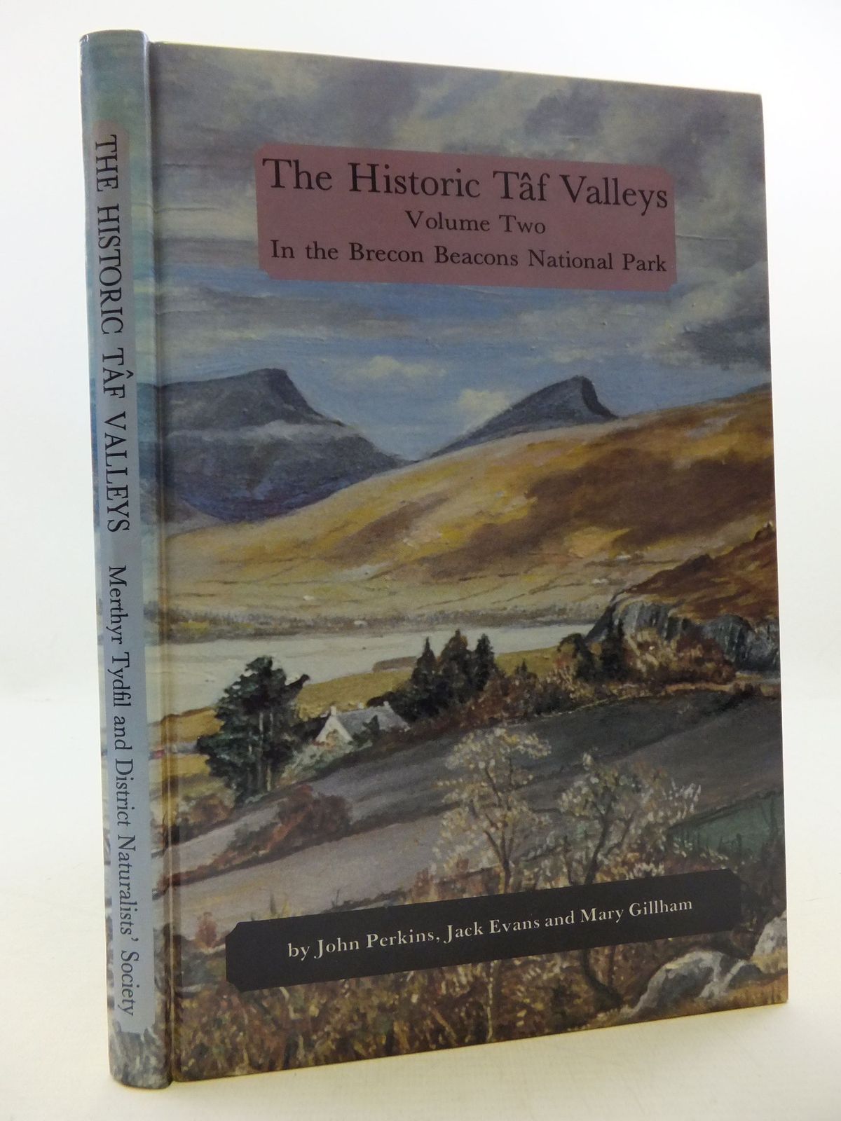 Photo of THE HISTORIC TAF VALLEYS VOLUME TWO written by Perkins, John Evans, Jack Gillham, Mary E. published by Merthyr Tydfil and District Naturalists' Society (STOCK CODE: 1709063)  for sale by Stella & Rose's Books