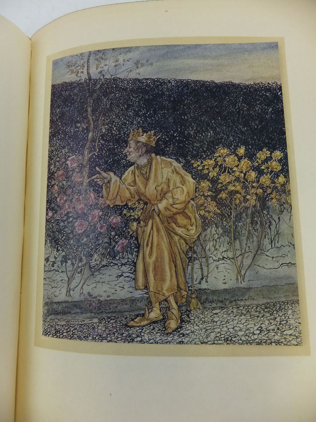 Photo of A WONDER BOOK written by Hawthorne, Nathaniel illustrated by Rackham, Arthur published by Hodder & Stoughton (STOCK CODE: 1710414)  for sale by Stella & Rose's Books
