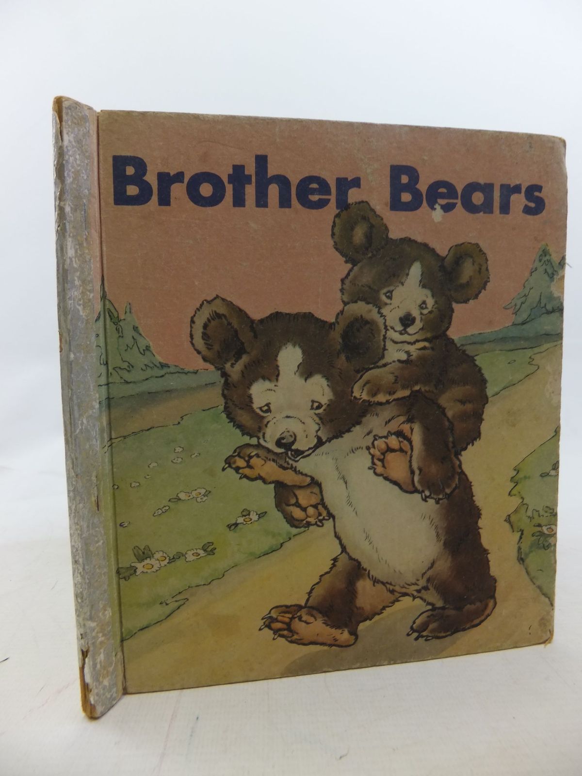 Photo of BROTHER BEARS- Stock Number: 1711686