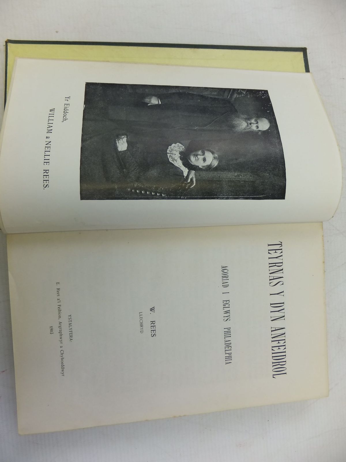 Photo of TEYRNAS Y DYN ANFEIDROL: AGORIAD I EGLWYS PHILADELPHIA written by Rees, W. published by Ystalyfera (STOCK CODE: 1713027)  for sale by Stella & Rose's Books