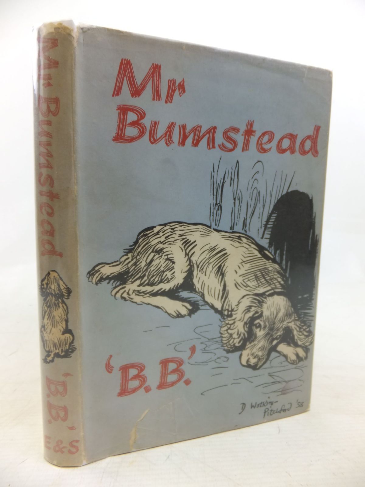 Photo of MR BUMSTEAD- Stock Number: 1713071