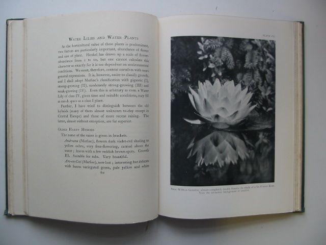 Photo of WATER LILIES AND WATER PLANTS written by Niklitschek, A. published by Chatto & Windus (STOCK CODE: 1802307)  for sale by Stella & Rose's Books