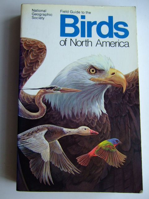 Photo of FIELD GUIDE TO THE BIRDS OF NORTH AMERICA published by National Geographic Society (STOCK CODE: 1803372)  for sale by Stella & Rose's Books