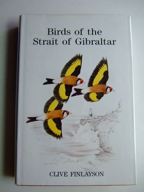 Photo of BIRDS OF THE STRAIT OF GIBRALTAR- Stock Number: 1803455