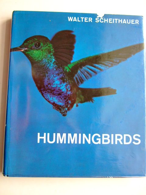 Photo of HUMMINGBIRDS FLYING JEWELS- Stock Number: 1804111
