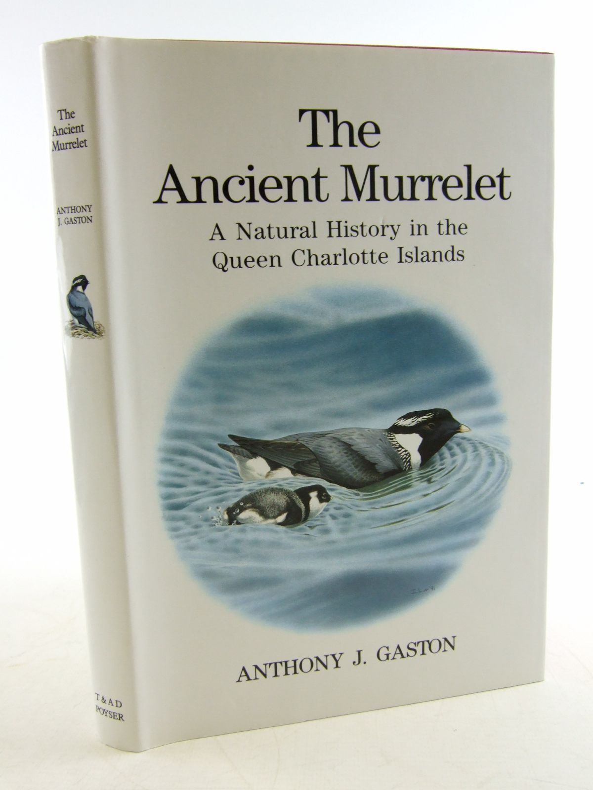 Photo of THE ANCIENT MURRELET written by Gaston, Anthony J. illustrated by Jones, Ian published by T. &amp; A.D. Poyser (STOCK CODE: 1806312)  for sale by Stella & Rose's Books