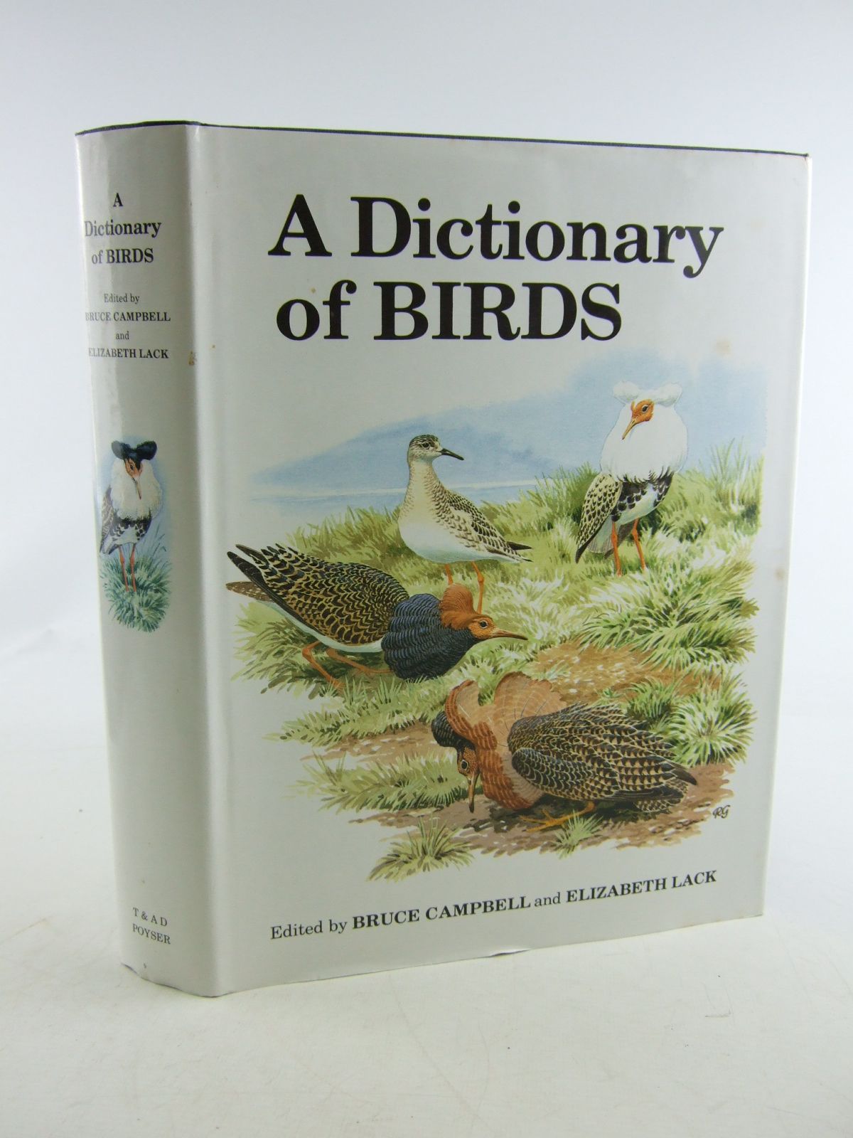 Photo of A DICTIONARY OF BIRDS- Stock Number: 1806318