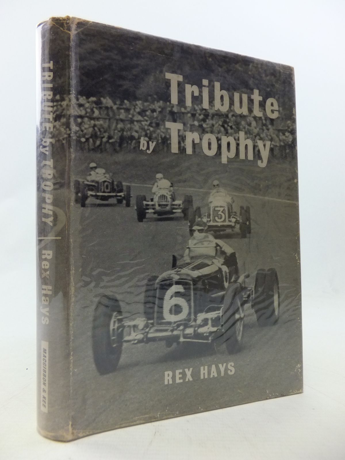 Photo of TRIBUTE BY TROPHY- Stock Number: 1808965