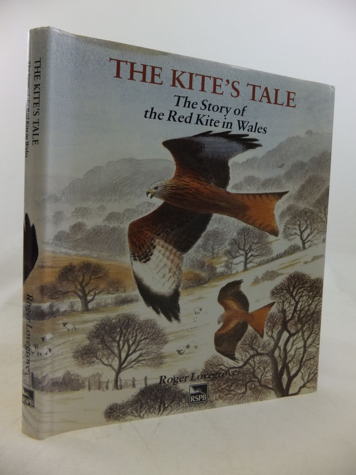 Stella & Rose's Books THE KITE'S TALE THE STORY OF THE RED KITE IN