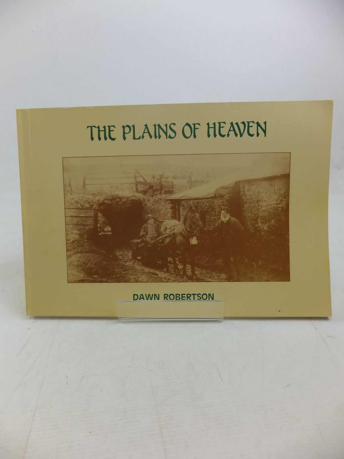 Stella & Rose's Books : THE PLAINS OF HEAVEN Written By Dawn Robertson ...