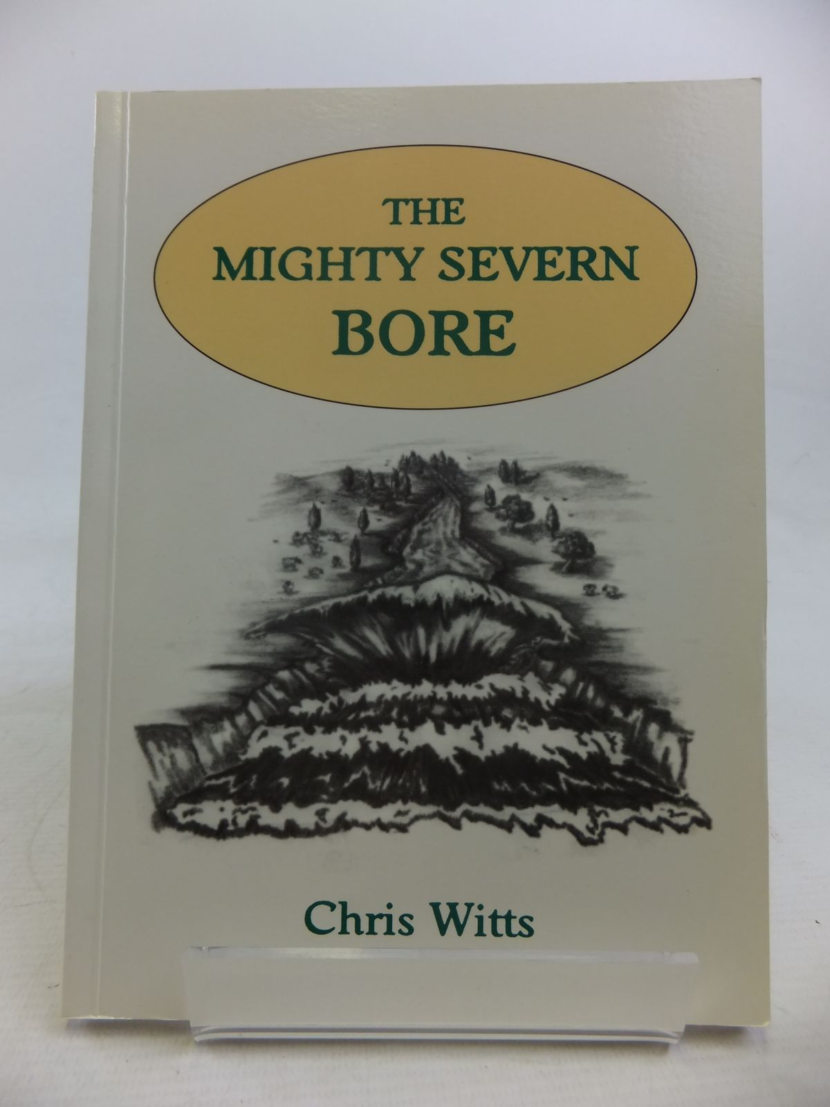 Photo of THE MIGHTY SEVERN BORE written by Witts, Chris illustrated by Witts, Nicki published by River Severn Publications (STOCK CODE: 1810946)  for sale by Stella & Rose's Books